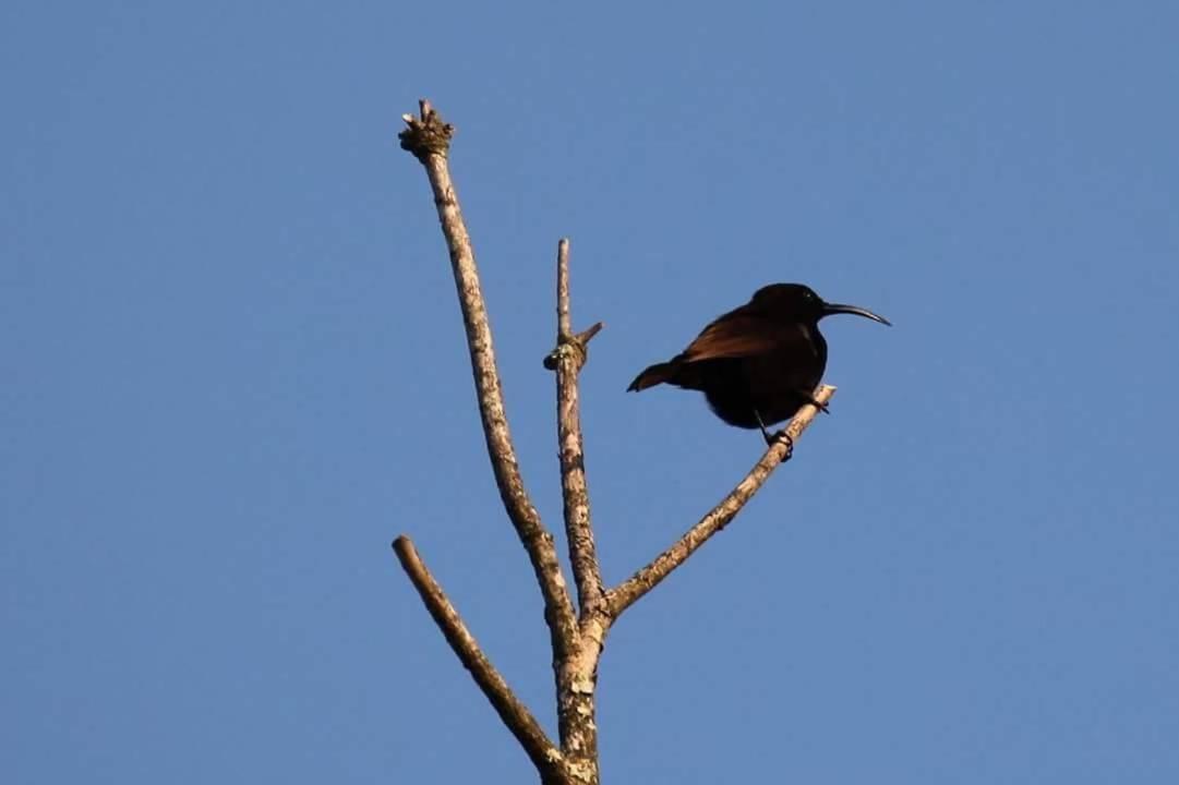 Fish Eagle Manor Bed and Breakfast East London Buitenkant foto